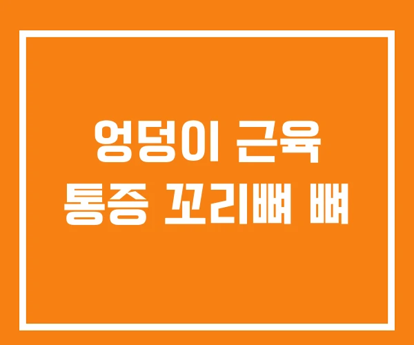 엉덩이 근육 통증 꼬리뼈 뼈