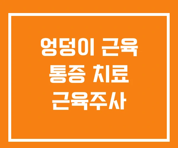 엉덩이 근육 통증 치료 근육주사 엉덩이 근육 통증 치료 근육주사
