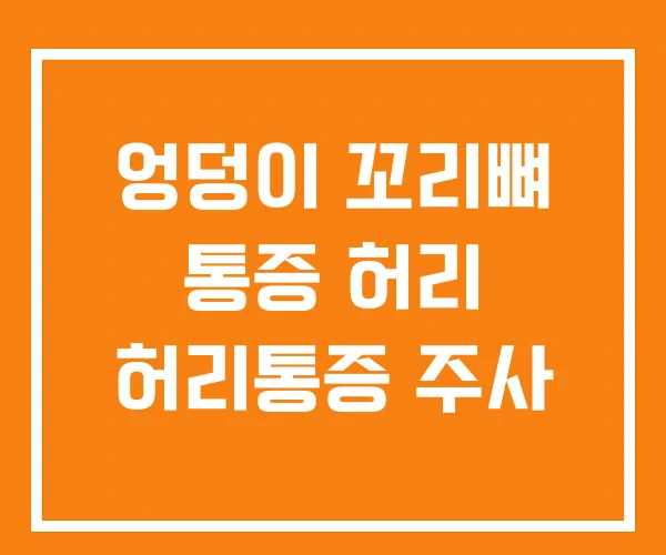 엉덩이 꼬리뼈 통증 허리 허리통증 주사
