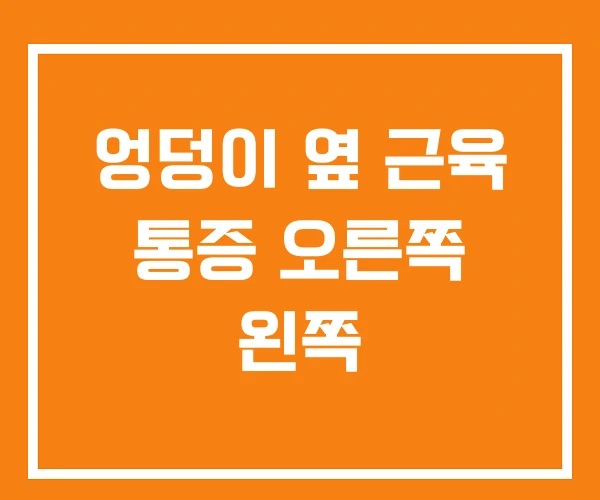 엉덩이 옆 근육 통증 오른쪽 왼쪽 엉덩이 옆 근육 통증 오른쪽 왼쪽