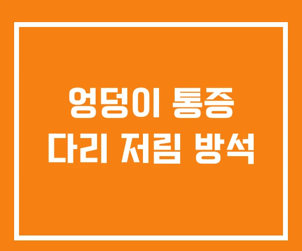 엉덩이 통증 다리 저림 방석