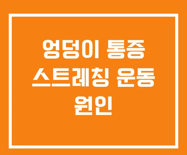 엉덩이 통증 스트레칭 운동 원인 엉덩이 통증 스트레칭 운동 원인