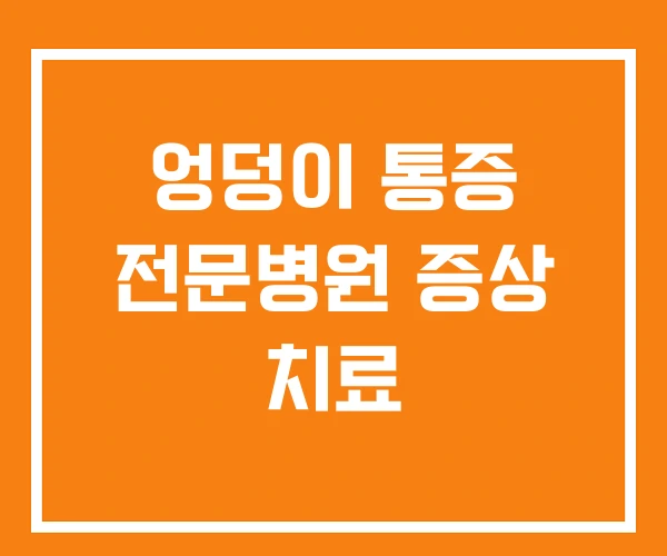 엉덩이 통증 전문병원 증상 치료