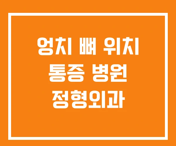 엉치 뼈 위치 통증 병원 정형외과 엉치 뼈 위치 통증 병원 정형외과
