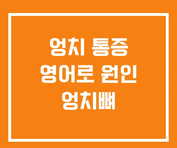엉치 통증 영어로 원인 엉치뼈 엉치 통증 영어로 원인 엉치뼈