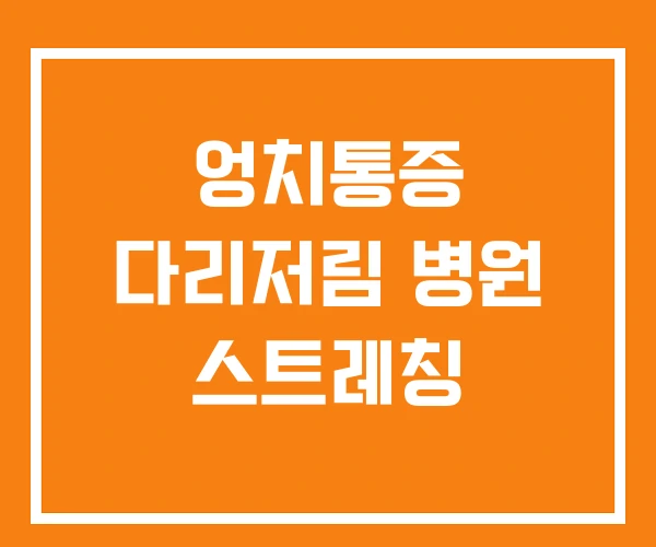 엉치통증 다리저림 병원 스트레칭