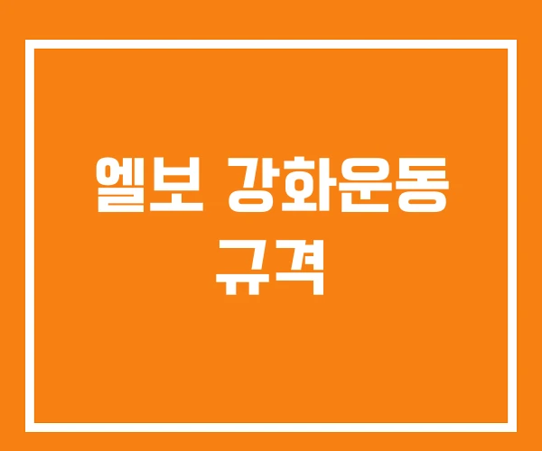 엘보 강화운동 규격 엘보 강화운동 규격