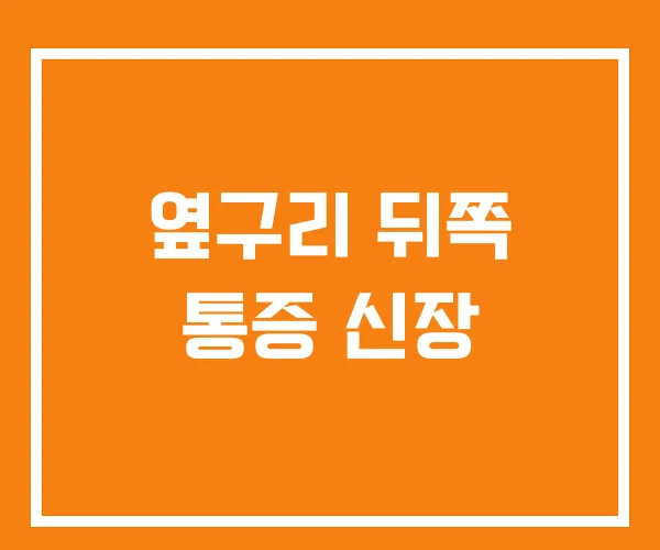 옆구리 뒤쪽 통증 신장 옆구리 뒤쪽 통증 신장