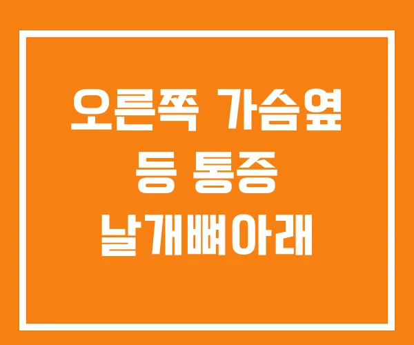 오른쪽 가슴옆 등 통증 날개뼈아래 오른쪽 가슴옆 등 통증 날개뼈아래