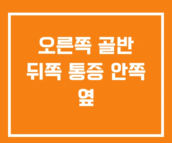 오른쪽 골반 뒤쪽 통증 안쪽 옆