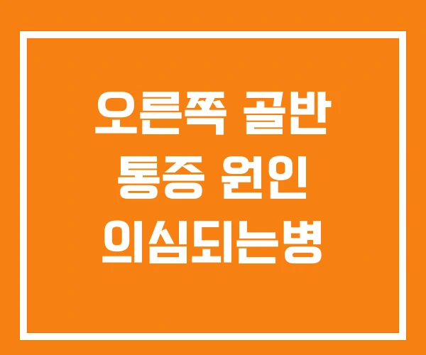 오른쪽 골반 통증 원인 의심되는병 오른쪽 골반 통증 원인 의심되는병