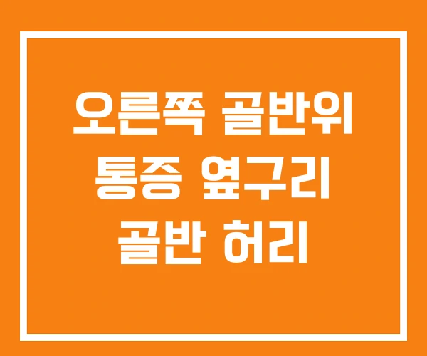 오른쪽 골반위 통증 옆구리 골반 허리 오른쪽 골반위 통증 옆구리 골반 허리