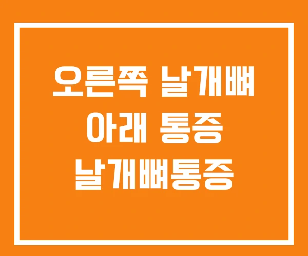 오른쪽 날개뼈 아래 통증 날개뼈통증 오른쪽 날개뼈 아래 통증 날개뼈통증