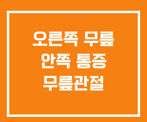 오른쪽 무릎 안쪽 통증 무릎관절 오른쪽 무릎 안쪽 통증 무릎관절