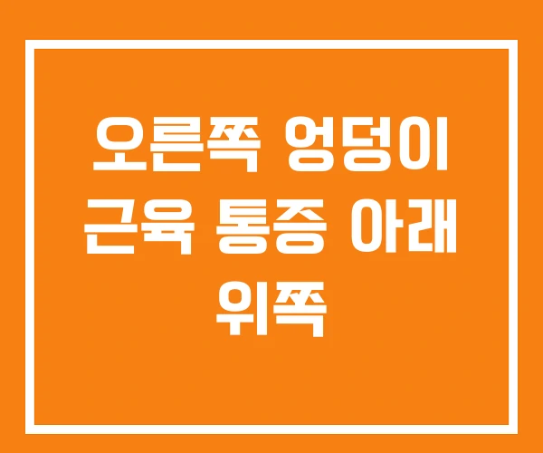 오른쪽 엉덩이 근육 통증 아래 위쪽