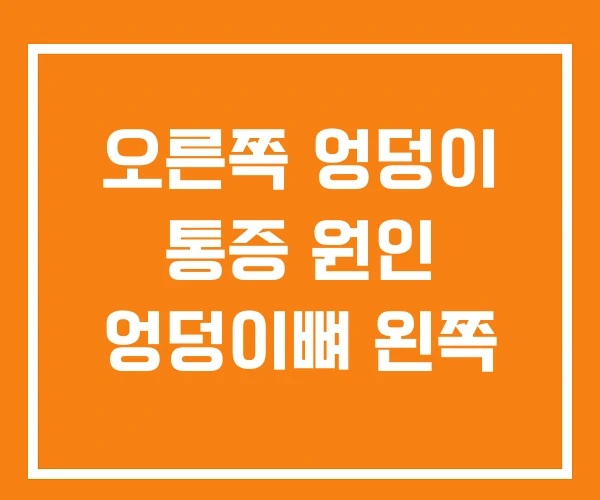 오른쪽 엉덩이 통증 원인 엉덩이뼈 왼쪽 오른쪽 엉덩이 통증 원인 엉덩이뼈 왼쪽