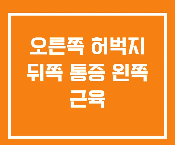 오른쪽 허벅지 뒤쪽 통증 왼쪽 근육