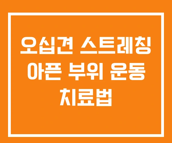 오십견 스트레칭 아픈 부위 운동 치료법