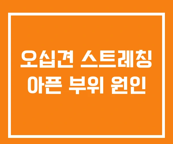 오십견 스트레칭 아픈 부위 원인 오십견 스트레칭 아픈 부위 원인