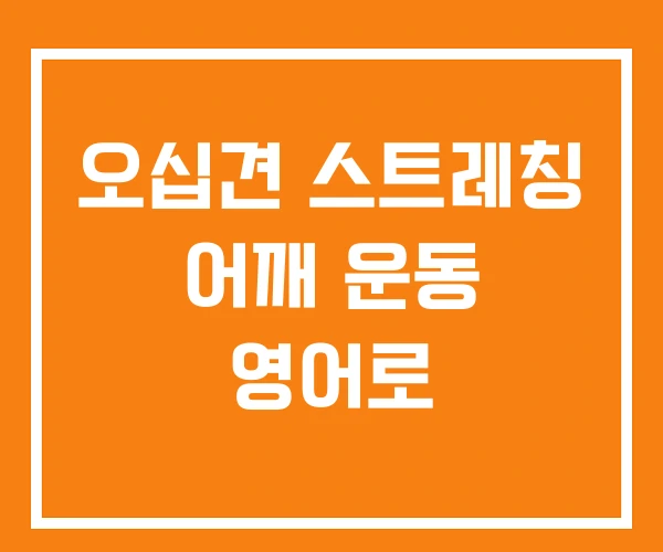 오십견 스트레칭 어깨 운동 영어로 오십견 스트레칭 어깨 운동 영어로
