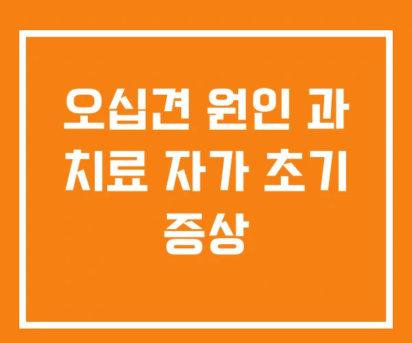 오십견 원인 과 치료 자가 초기 증상 오십견 원인 과 치료 자가 초기 증상