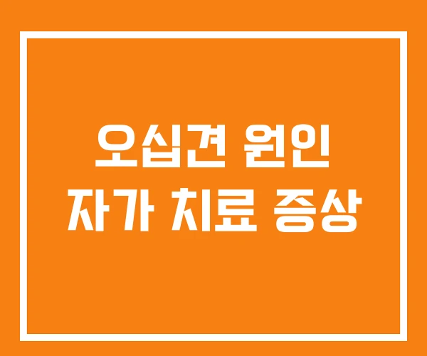 오십견 원인 자가 치료 증상 오십견 원인 자가 치료 증상