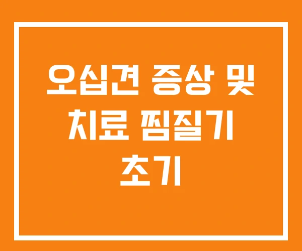 오십견 증상 및 치료 찜질기 초기