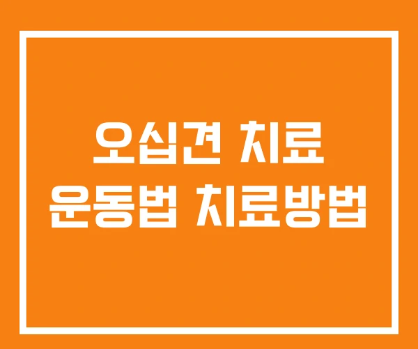 오십견 치료 운동법 치료방법 오십견 치료 운동법 치료방법