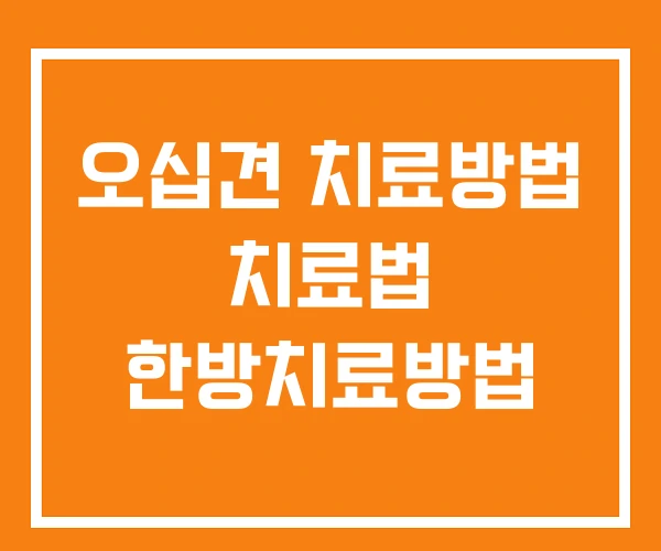 오십견 치료방법 치료법 한방치료방법 오십견 치료방법 치료법 한방치료방법