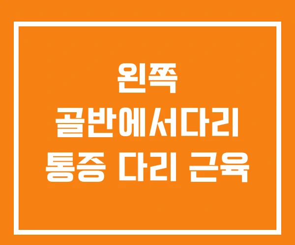 왼쪽 골반에서다리 통증 다리 근육 왼쪽 골반에서다리 통증 다리 근육