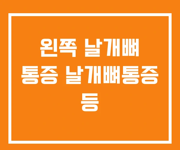 왼쪽 날개뼈 통증 날개뼈통증 등