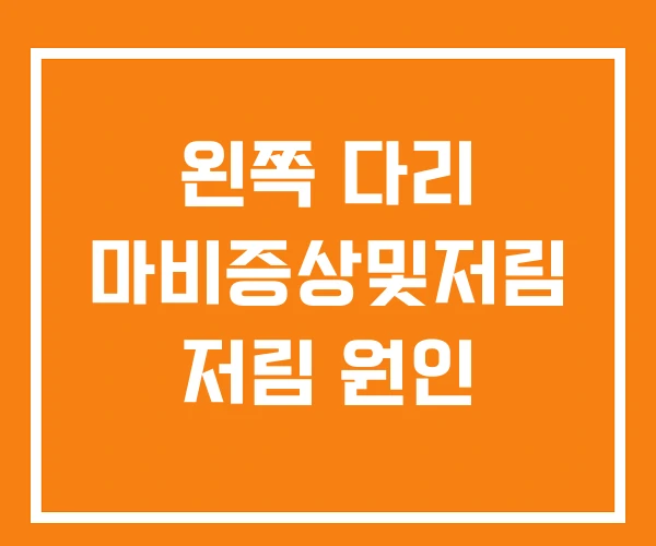 왼쪽 다리 마비증상및저림 저림 원인 왼쪽 다리 마비증상및저림 저림 원인