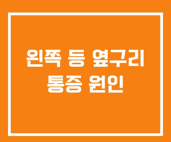 왼쪽 등 옆구리 통증 원인