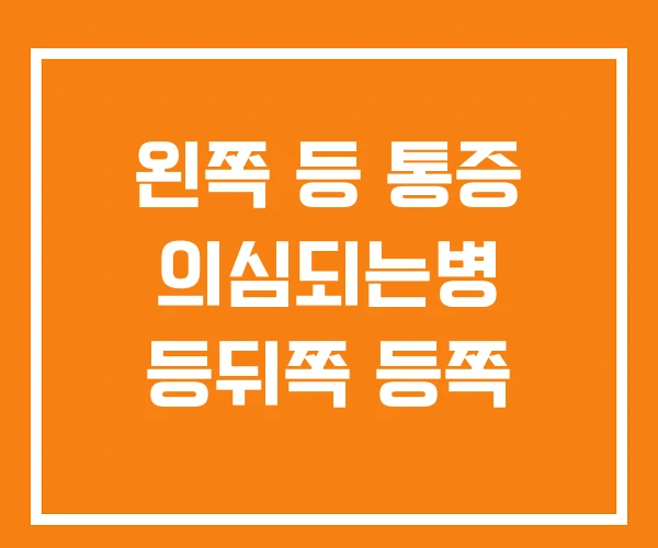 왼쪽 등 통증 의심되는병 등뒤쪽 등쪽