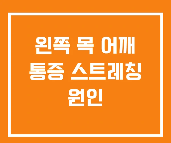 왼쪽 목 어깨 통증 스트레칭 원인 왼쪽 목 어깨 통증 스트레칭 원인