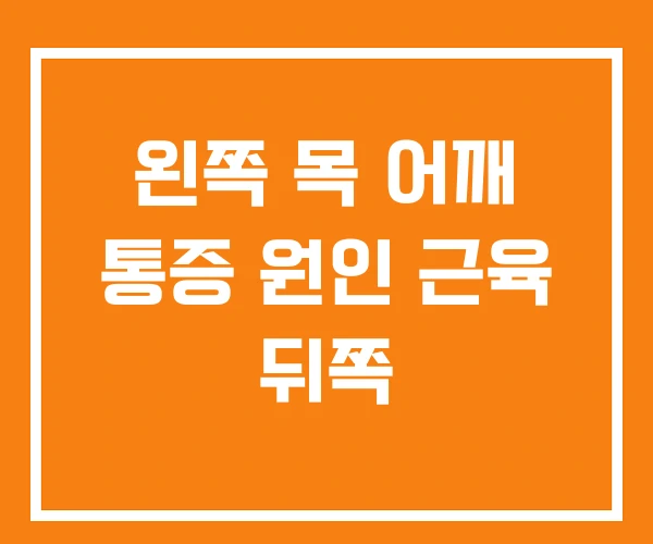 왼쪽 목 어깨 통증 원인 근육 뒤쪽