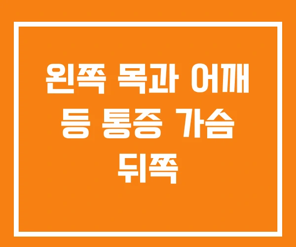 왼쪽 목과 어깨 등 통증 가슴 뒤쪽 왼쪽 목과 어깨 등 통증 가슴 뒤쪽
