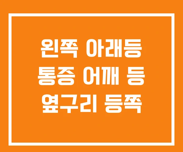 왼쪽 아래등 통증 어깨 등 옆구리 등쪽