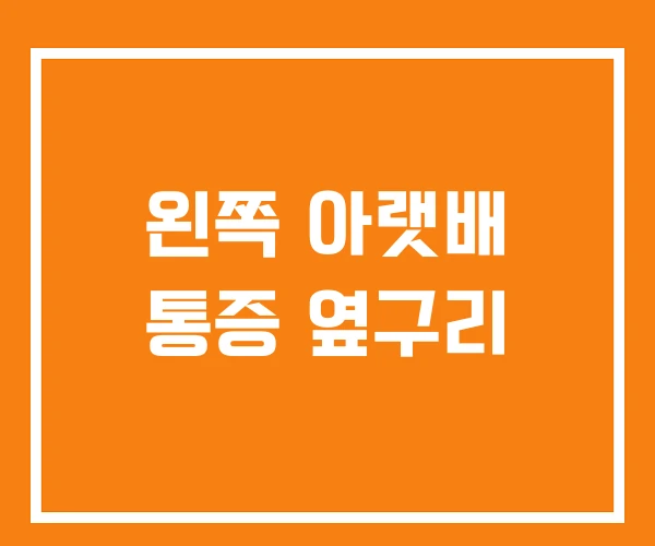 왼쪽 아랫배 통증 옆구리