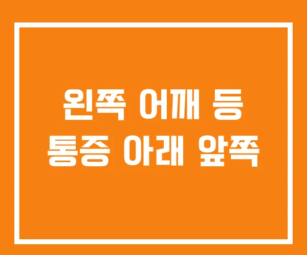 왼쪽 어깨 등 통증 아래 앞쪽
