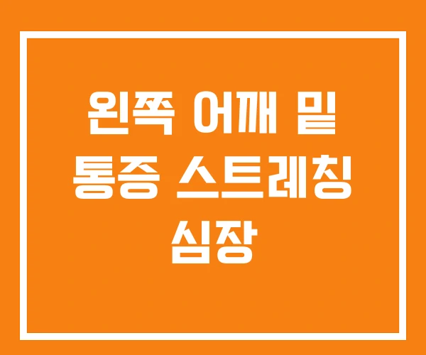 왼쪽 어깨 밑 통증 스트레칭 심장