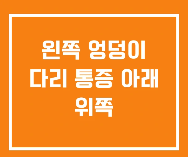 왼쪽 엉덩이 다리 통증 아래 위쪽