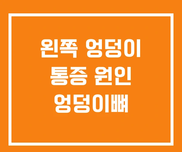 왼쪽 엉덩이 통증 원인 엉덩이뼈