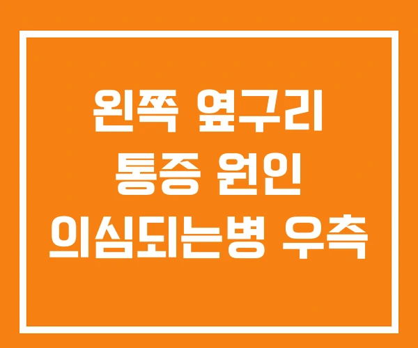 왼쪽 옆구리 통증 원인 의심되는병 우측