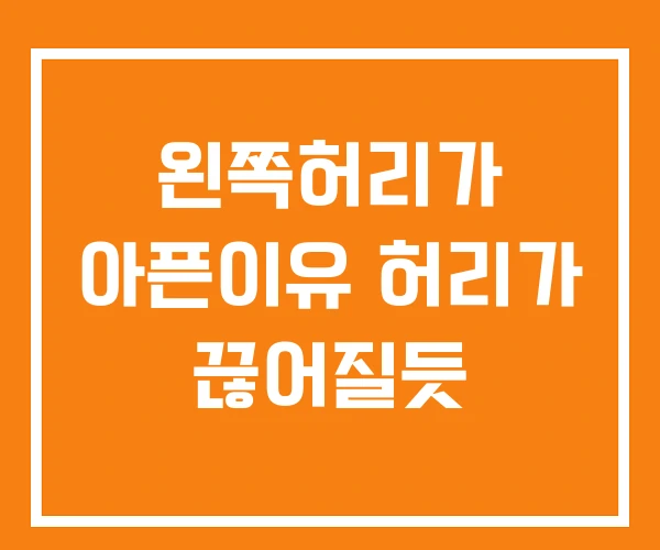 왼쪽허리가 아픈이유 허리가 끊어질듯