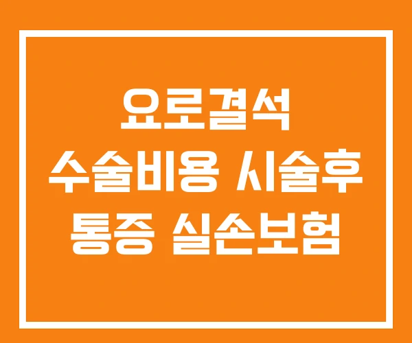 요로결석 수술비용 시술후 통증 실손보험