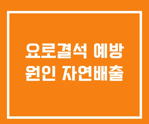 요로결석 예방 원인 자연배출