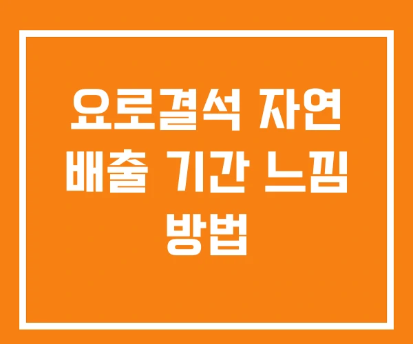 요로결석 자연 배출 기간 느낌 방법