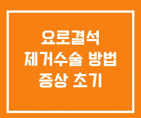 요로결석 제거수술 방법 증상 초기