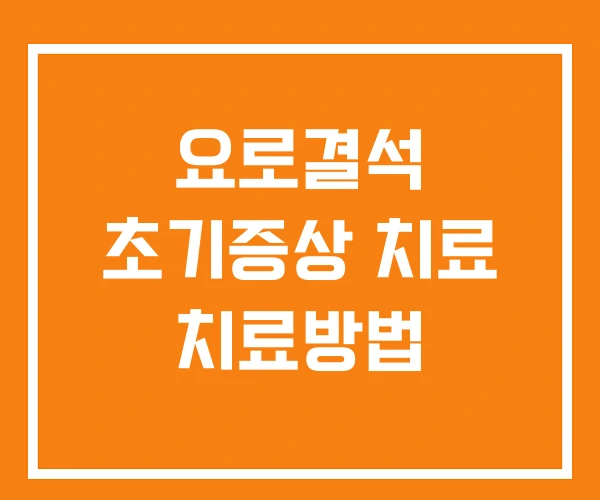 요로결석 초기증상 치료 치료방법